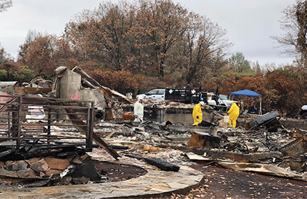 Cleanup after Wildfire 