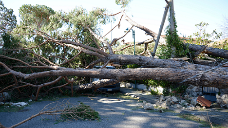 Hurricane damage-debris in street