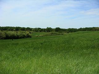 Sheffield nature reserve