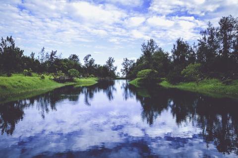 river with trees on either side